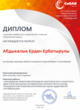 Диплом Интернет-голосования