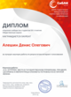 Диплом Интернет-голосования