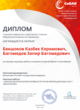 Диплом Интернет-голосования