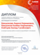 Диплом Интернет-голосования