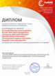 Диплом Интернет-голосования