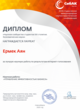 Диплом Интернет-голосования