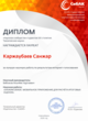 Диплом Интернет-голосования