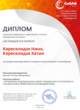 Диплом Интернет-голосования