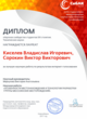Диплом Интернет-голосования