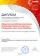 Диплом Интернет-голосования