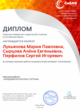 Диплом Интернет-голосования