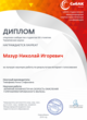 Диплом Интернет-голосования