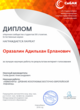 Диплом Интернет-голосования
