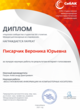 Диплом Интернет-голосования