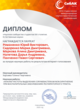 Диплом Интернет-голосования