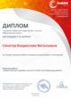 Диплом Интернет-голосования
