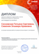 Диплом Интернет-голосования