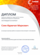 Диплом Интернет-голосования