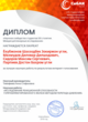 Диплом Интернет-голосования