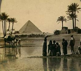 https://upload.wikimedia.org/wikipedia/commons/f/f4/PyramidDatePalms.jpg