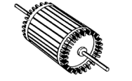 belkletka2.GIF