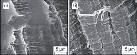 https://neftegaz.ru/images/science/PIMNPPdNT%203.JPG