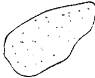 https://files.stroyinf.ru/Data2/1/4294817/4294817769.files/x012.jpg