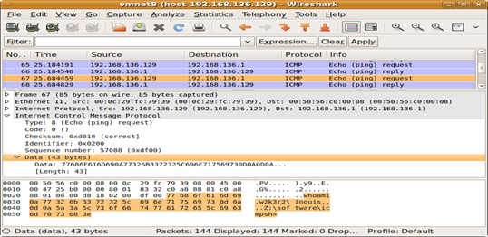 response_packet_from_icmpsh_slave_containing_output_of_command_whoami