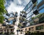 House of the Flying Trees / Open AD | ArchDaily