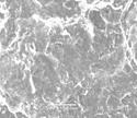 Описание: ptfe 1 2