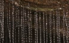 Описание: 5233639_ueitomo_glouvorm__Waitomo_Glowworm___5_