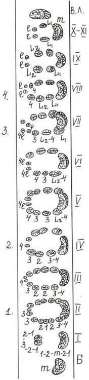 Описание: C:\Users\Пользователь\Documents\Scanned Documents\Рисунок (141).jpg