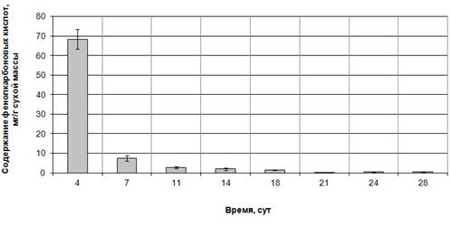 фкк среда 2