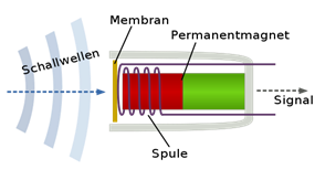 500px-Tauchspulenmikrofon.svg.png