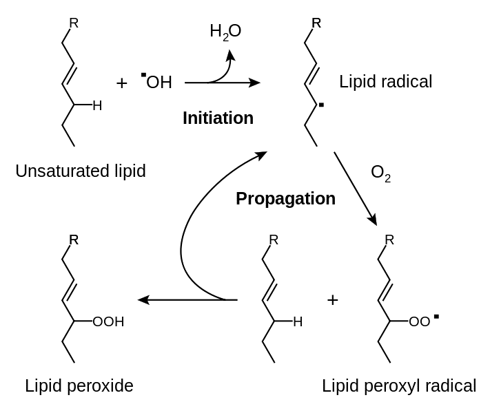 File:Lipid peroxidation.svg