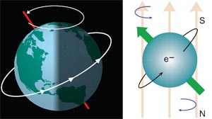 рис.2 Орбитальная прецессия Земли и прецессия спина электрона