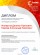 Диплом Интернет-голосования