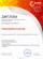 Диплом Интернет-голосования