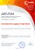 Диплом Интернет-голосования