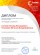 Диплом Интернет-голосования